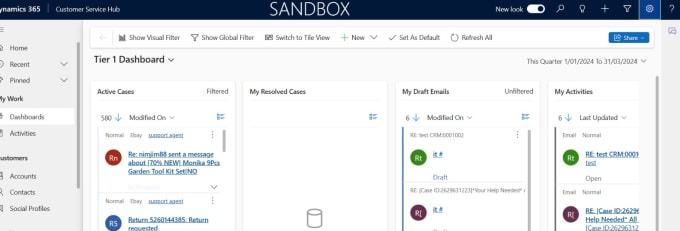 Gig Preview - Consult on microsoft dynamics 365 CRM