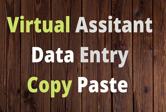 Gig Preview - Be your best data entry virtual assistant