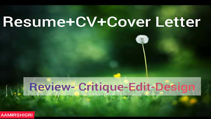 Gig Preview - Design an attractive professional cv or resume for you