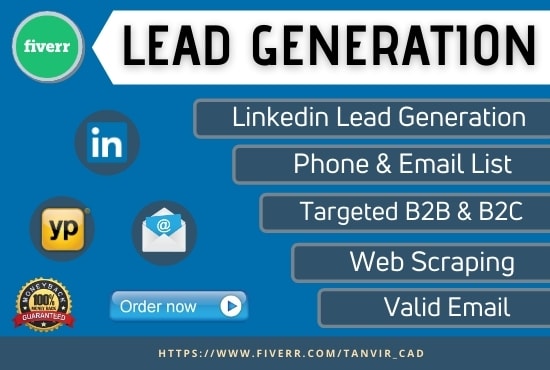 Gig Preview - Collect b2b leads, do lead generation, and email collection