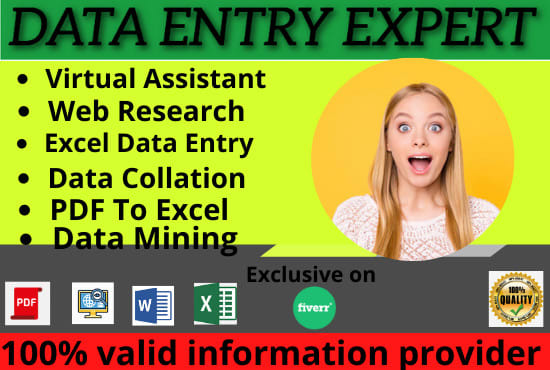 Gig Preview - Do perfect data entry virtual assistant and web research