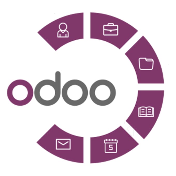 Gig Preview - Be your odoo erp developer and consultant