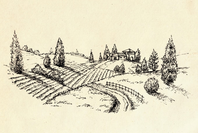 Gig Preview - Draw vintage style landscape illustration for you