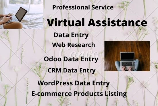 Gig Preview - Do contract basis virtual assistance