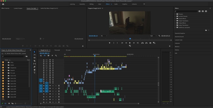 Gig Preview - Edit your short film