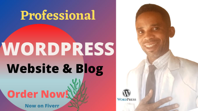 Gig Preview - Build a modern professional wordpress website for you or your company