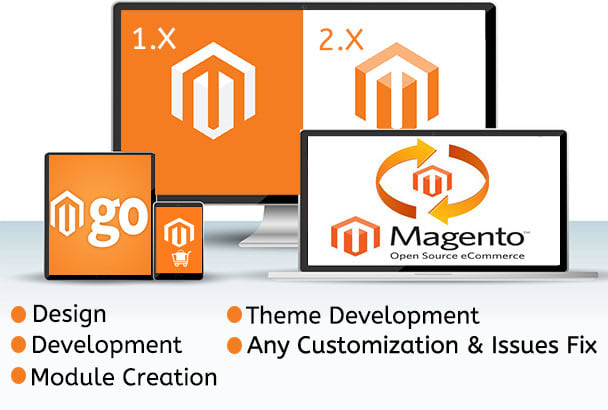 Gig Preview - Design and develop professional magento store