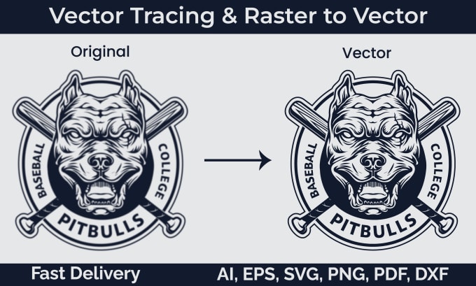 Gig Preview - Recreate, redraw, revamp, resize, remake, redo logo or image with vector tracing