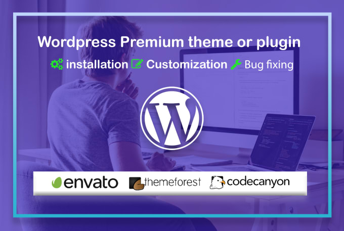 Gig Preview - Do wordpress theme customization and plugins customization