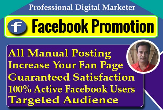 Gig Preview - Do organic facebook page promotion for your business