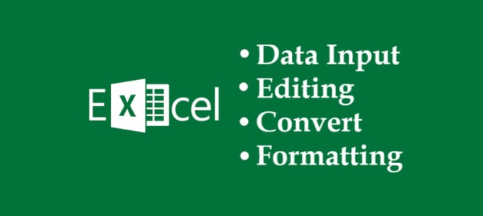 Gig Preview - Do accurate excel data entry and input data with in 24 hours