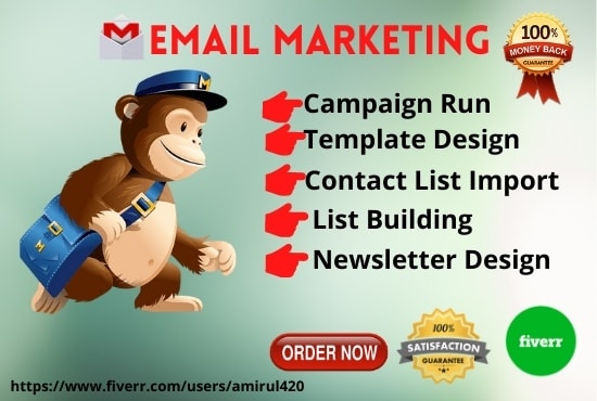 Gig Preview - Do mailchimp email marketing campaign to grow your business