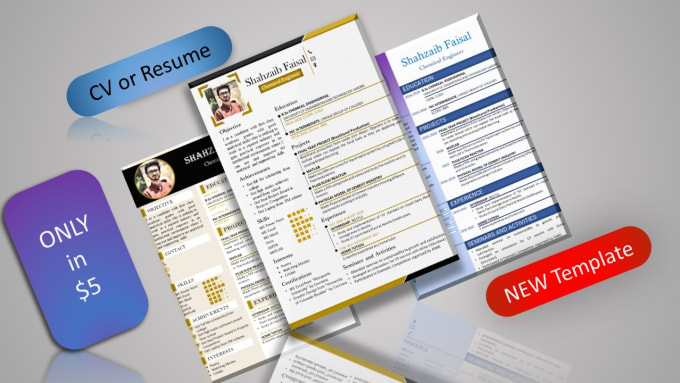 Gig Preview - Professional modern cv resume design new templates