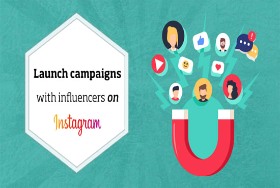 Gig Preview - Find best instagram influencer for your business