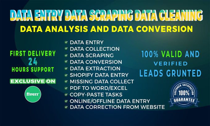 Gig Preview - Do data entry and appending enrichment