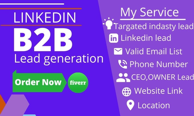 Gig Preview - Do b2b leads, linkedin lead and targeted b2b lead generation