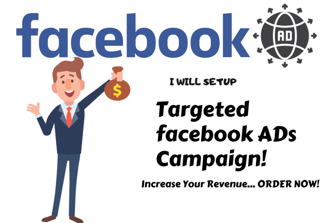 Gig Preview - Setup targeted facebook and instagram ads campaign