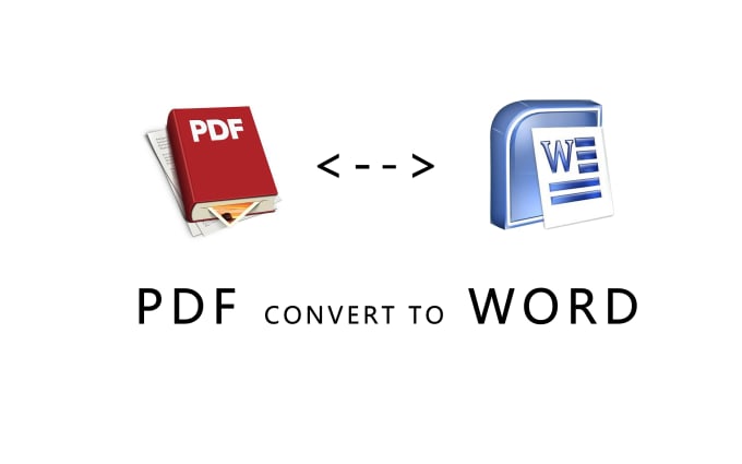 Gig Preview - Convert PDF to microsoft word document