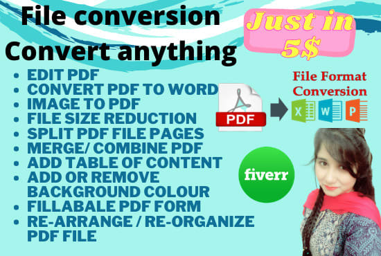 Gig Preview - Do convert PDF to word or excel within 24 hours