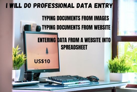 Gig Preview - Do professional business data entry