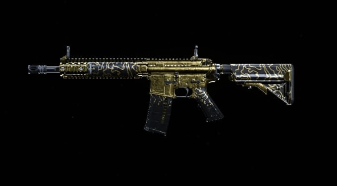 Finde Leidenschaftliche Call Of Duty Spieler Die An Deiner Spielsitzung Teilnehmen Fiverr - abs with guns roblox abs guns gold
