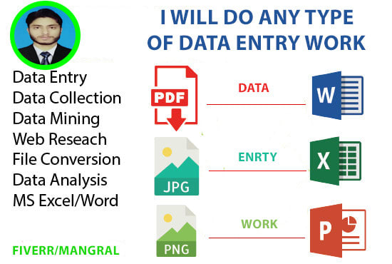 Gig Preview - Do any sort of data entry related work for you