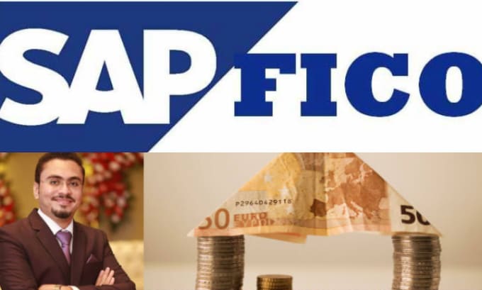 Bestseller - be your sap finance consultant fi, co, ps, fm