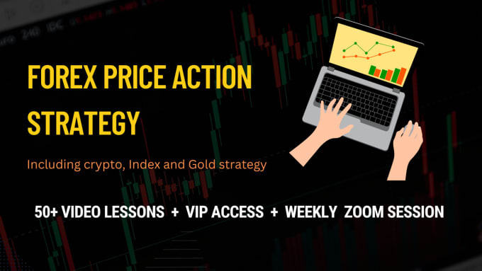 Gig Preview - Teach you forex trading price action strategy