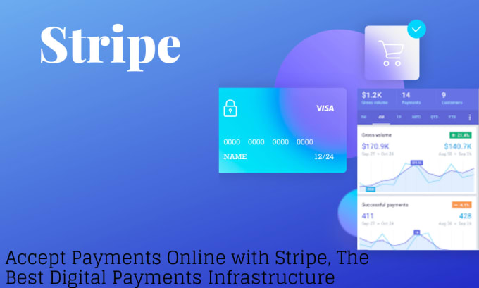 Gig Preview - Integrate stripe payment API in python websites