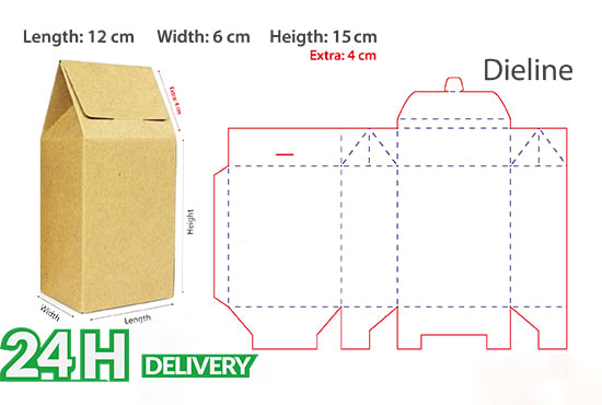 Gig Preview - Make custom blank white dieline template for box packaging