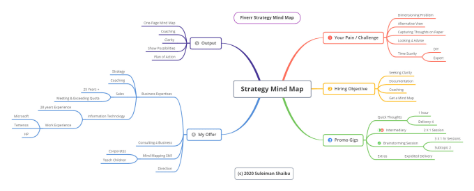 Gig Preview - Help in creating a business strategy mind map