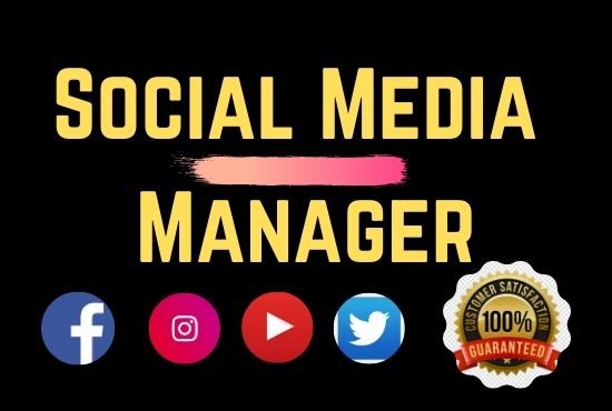 Gig Preview - Work as your social media manager