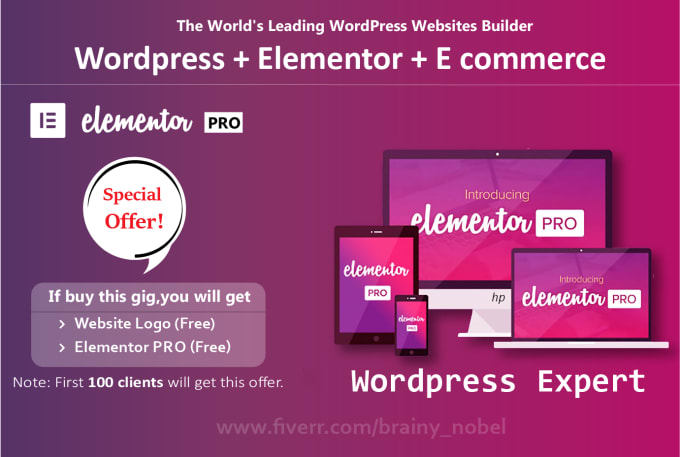 Gig Preview - Build any website and landing page design using elementor pro