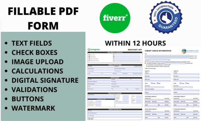 Gig Preview - Create fillable pdf form