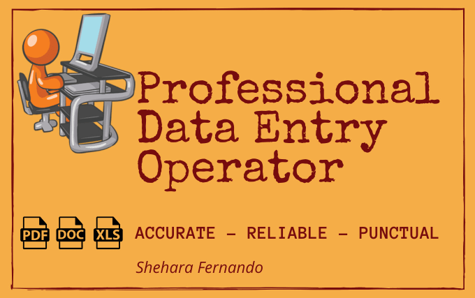 Gig Preview - Be your professional data entry operator