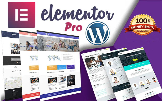 Gig Preview - Design wordpress landing page website by the elementor pro