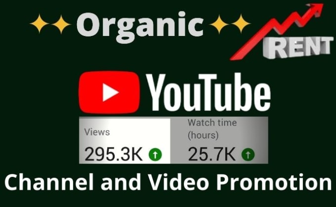 Gig Preview - Create, optimize and organically promote  your youtube channel