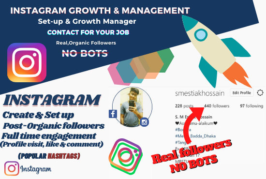 Gig Preview - Be your organic instagram manager