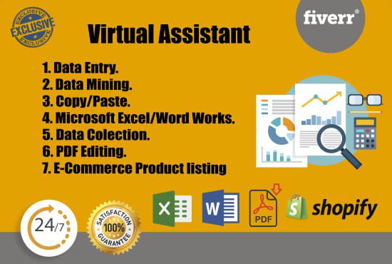 Gig Preview - Be your professional virtual assistant