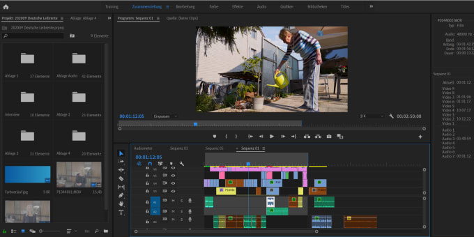 Gig Preview - Do professional video editing and post production