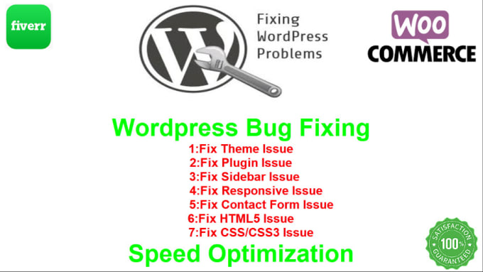 Gig Preview - Fix wordpress bugs, issues, errors and customization