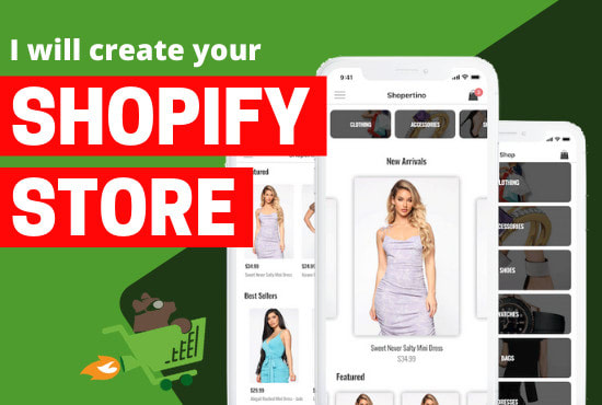 Gig Preview - Build a profitable shopify store