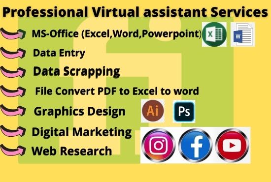 Gig Preview - Be your professional virtual assistant for data entry