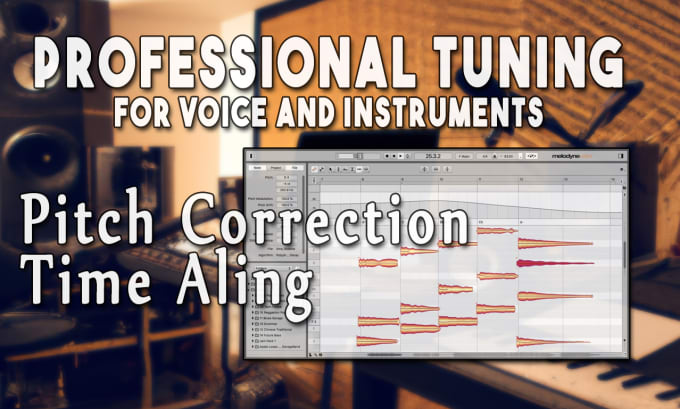 Gig Preview - Tune and pitch correct your vocals or instruments