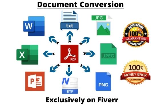 Gig Preview - Convert any document into other format perfectly