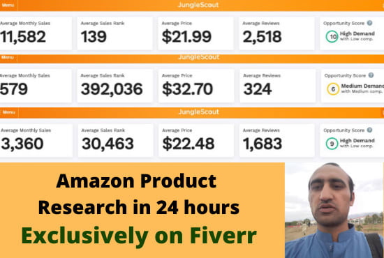 Gig Preview - Find amazon fba product in 24 hours