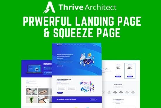 Gig Preview - Design landing page,  sales page using thrive architect and thrive theme