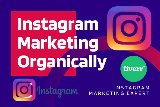 Gig Preview - Do instagram marketing organically