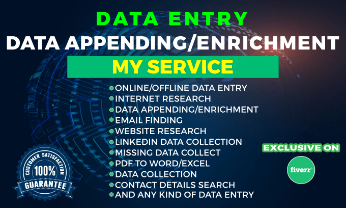 Gig Preview - Do data entry and data enrichment