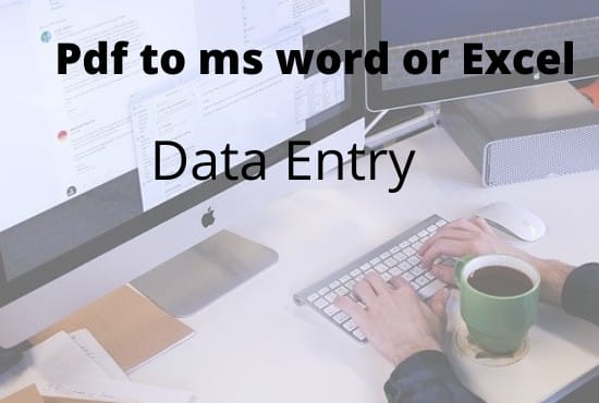 Gig Preview - Do data entry in ms excel